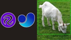 Complete Goat Detection and Counting Using YOLOv11 FREE ENROLL